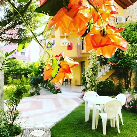 Vila Aliaj Special Rooftop For Two * Durrës