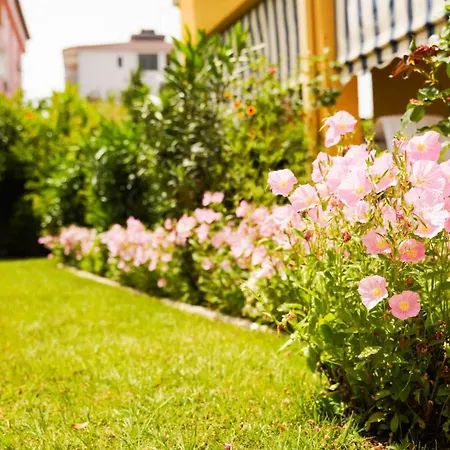 Vila Aliaj Special Rooftop For Two دراس